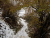Morteza_Saberi_Aban93 (11)_resize.JPG 